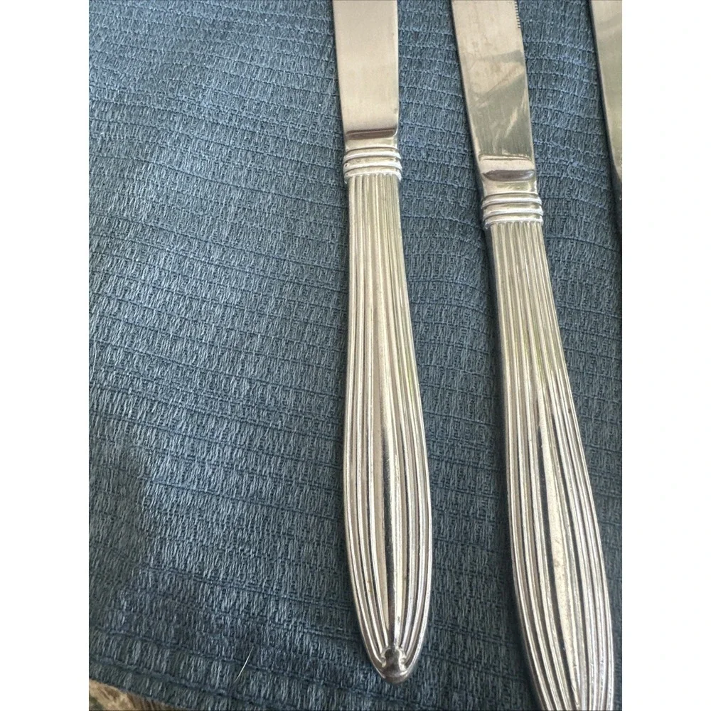 Pfaltzgraff Mackenzie Stainless Steel Flatware Dinner Knife Set Of 5‎ RARE